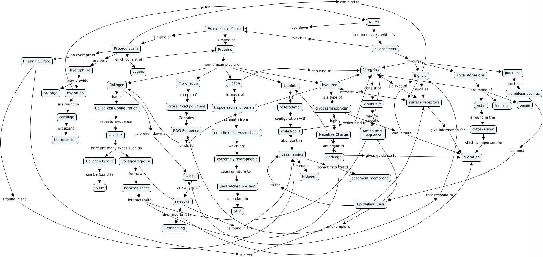 ECM hmwk 5 How does a cell interact with it's environment?
